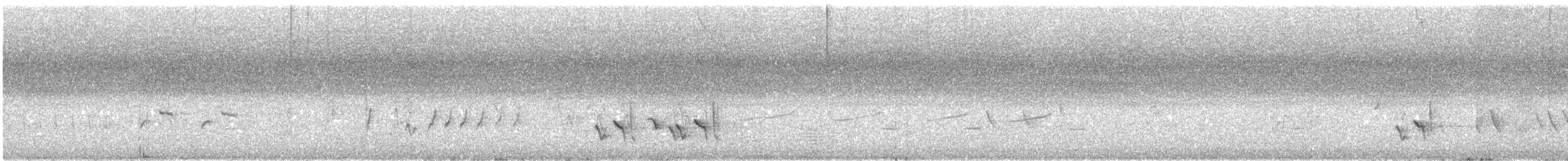 White-cheeked Honeyeater - ML645538862