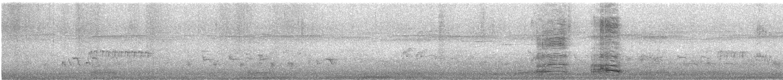 Australian Ibis - ML645539076