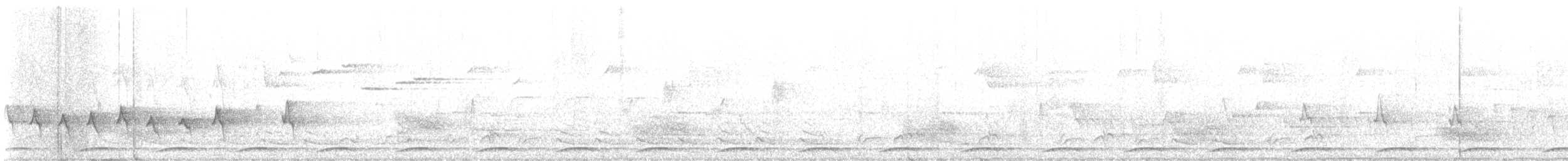 Wonga Pigeon - ML645539112