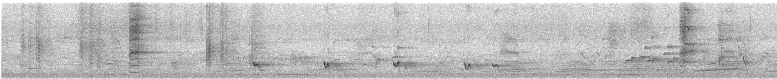 彩虹吸蜜鸚鵡 - ML645539379