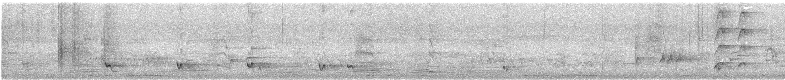 Singing Honeyeater - ML645539380