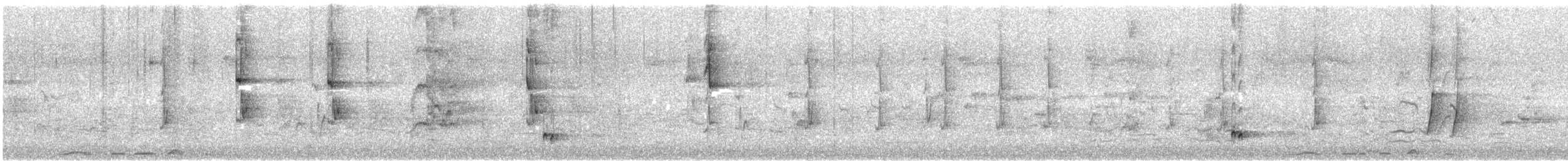 Singing Honeyeater - ML645539525