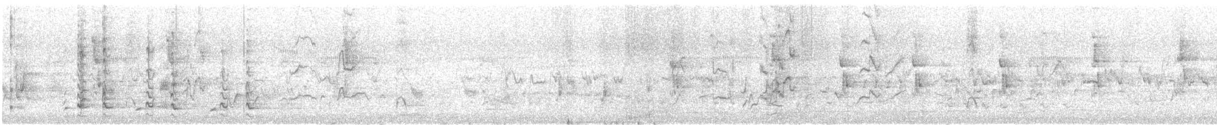 Australian Raven - ML645539624