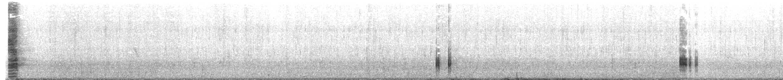 Tasmanian Nativehen - ML645539626