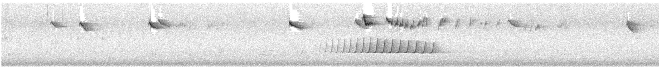 Rufous Whistler - ML645539890