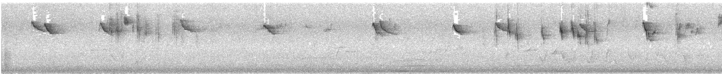 Purple-backed Fairywren - ML645539965