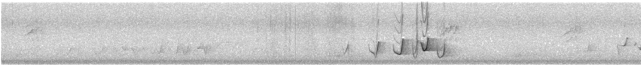 Rufous Whistler - ML645539978