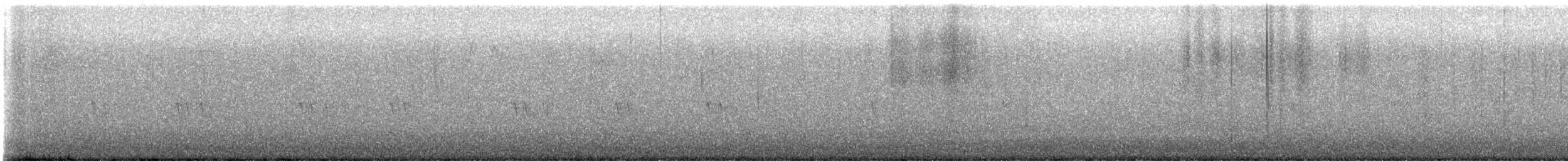 bird sp. - ML645539996