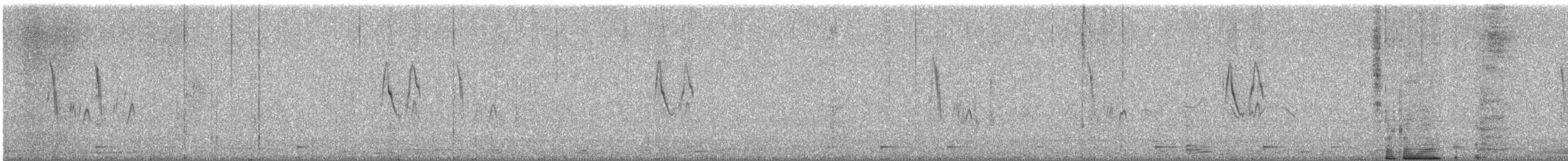 白鶺鴒 - ML645540036