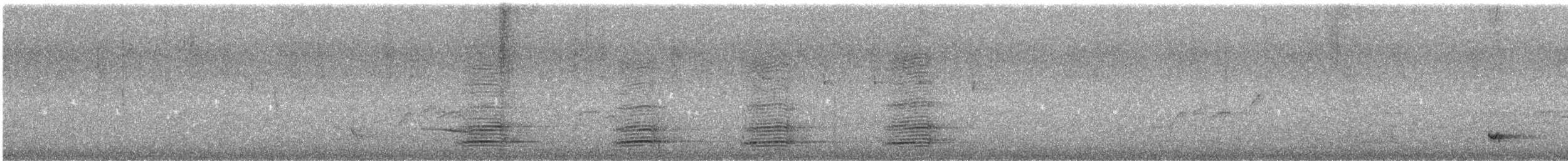 Avustralya Kuzgunu - ML645540086