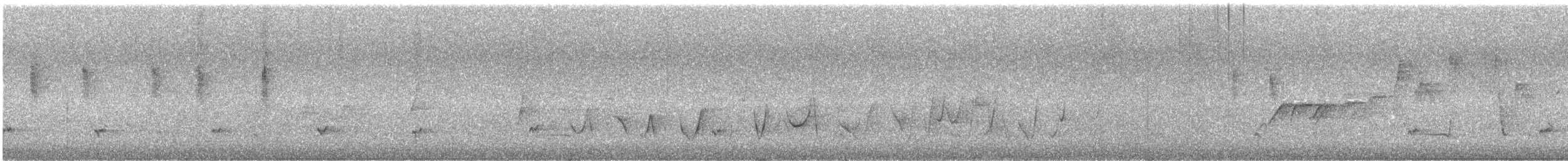 Weebill - ML645540699