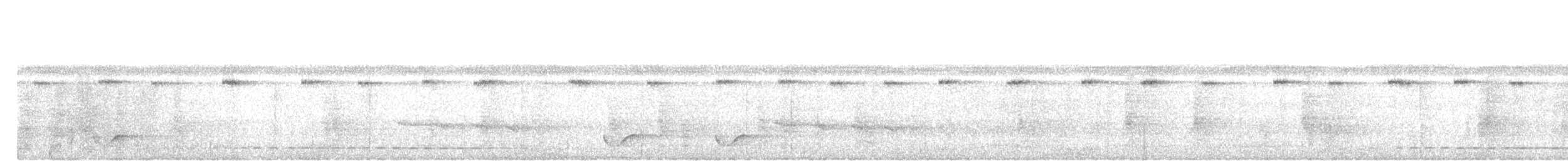 Banded Bay Cuckoo - ML645540777