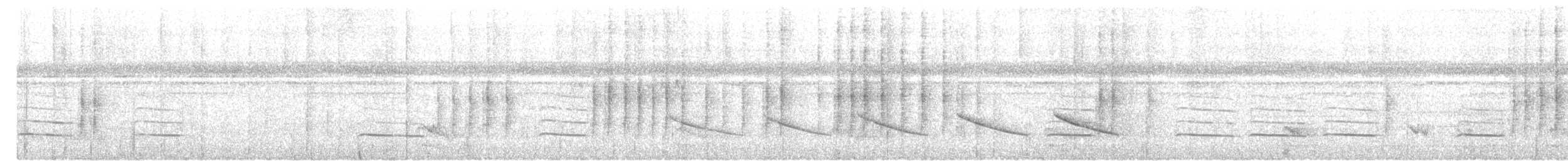 Короткохвостый шелкопёр - ML645540832