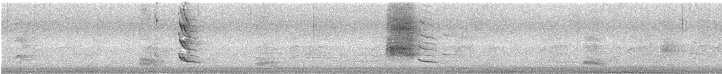 Mielero Cantarín - ML645540981