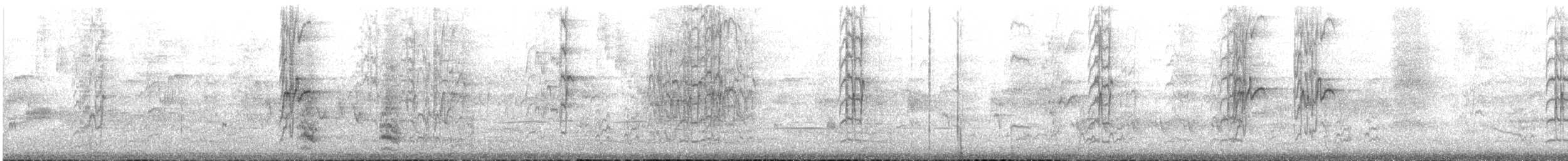 lori mošusový - ML645541218