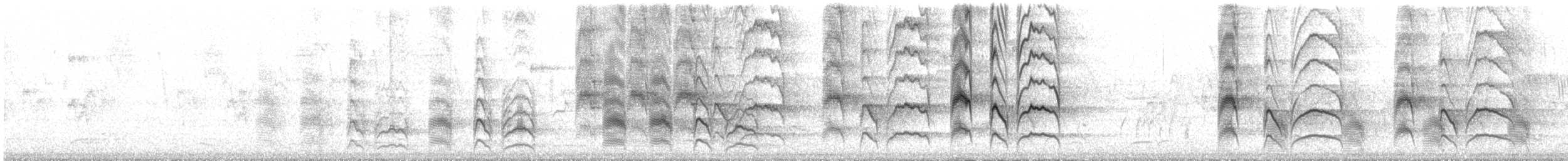 Great Kiskadee - ML645541341