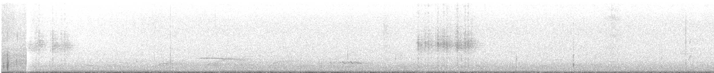 gallaviftestjert - ML645541516