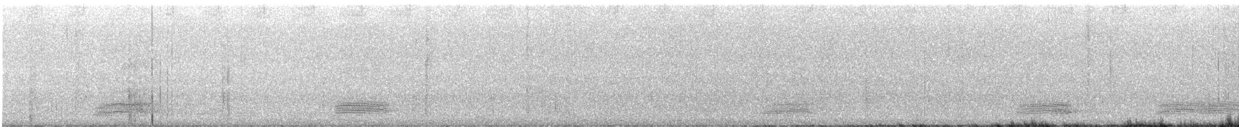 australkråke - ML645541519