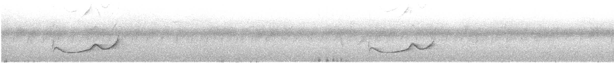 blåvingelattertrost - ML645541597