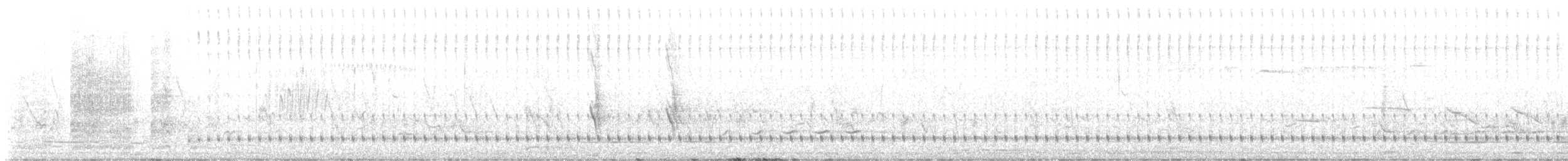 topperleskjeggfugl - ML645541995