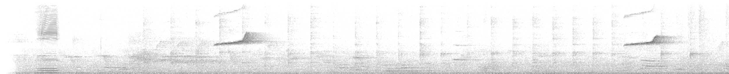 orientskjæreskvett - ML645542050