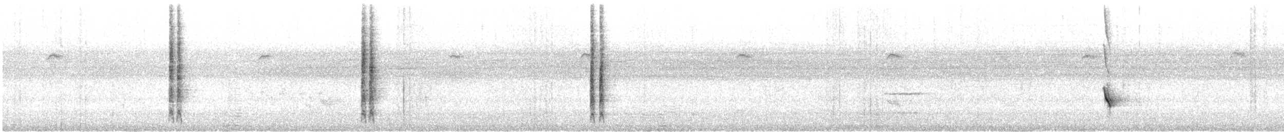 New Holland Honeyeater - ML645542710