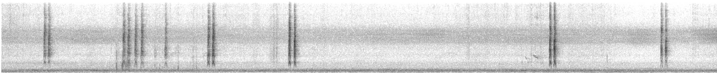 New Holland Honeyeater - ML645542712