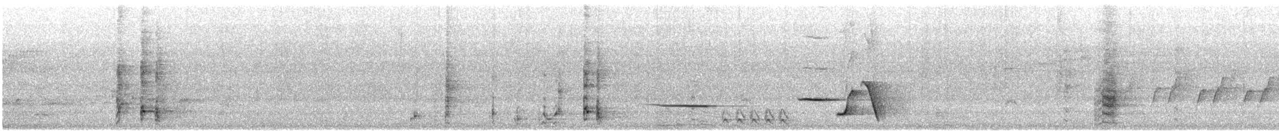 Western Wattlebird - ML645542714