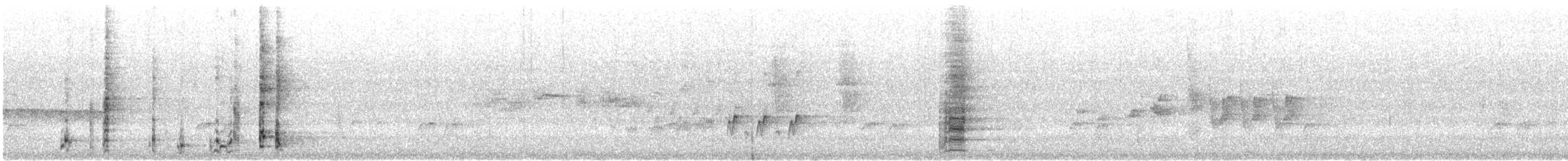 Western Wattlebird - ML645542718