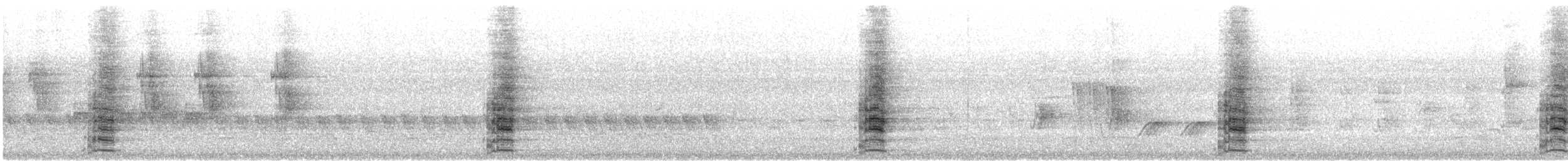 Western Wattlebird - ML645542719