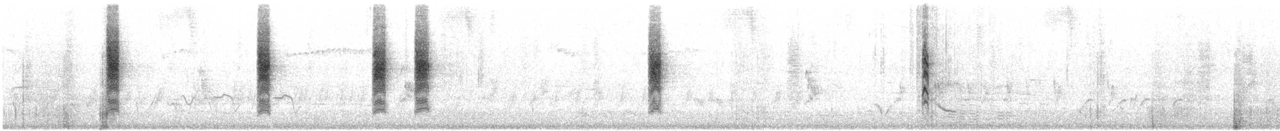 Inland Thornbill - ML645542723