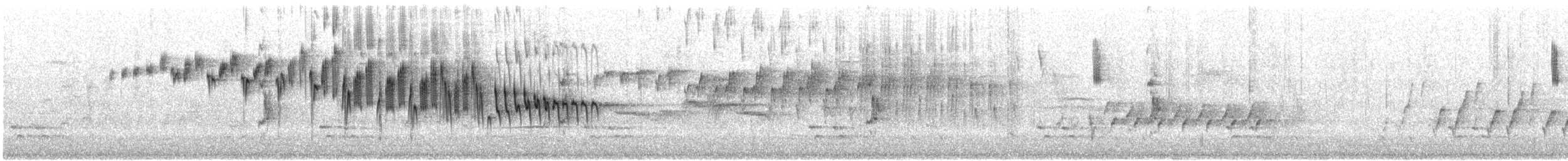 Splendid Fairywren - ML645542726