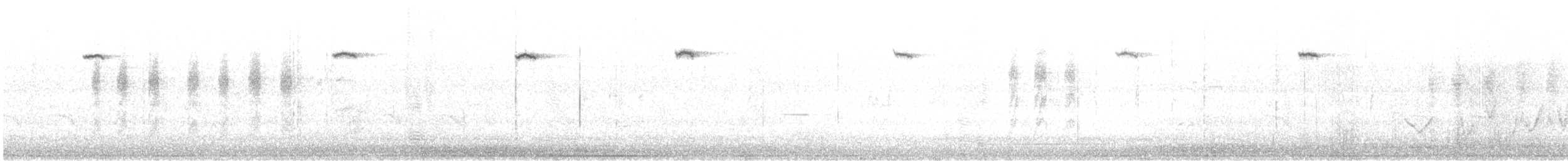 Splendid Fairywren - ML645542743