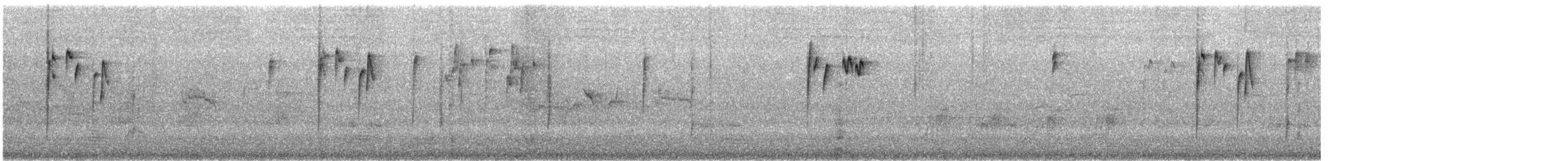 Western Thornbill - ML645542750