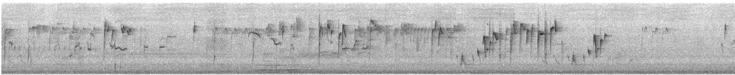 Western Thornbill - ML645542751