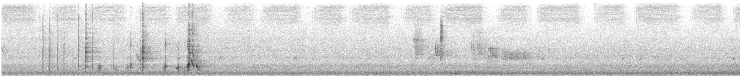 Western Wattlebird - ML645542760