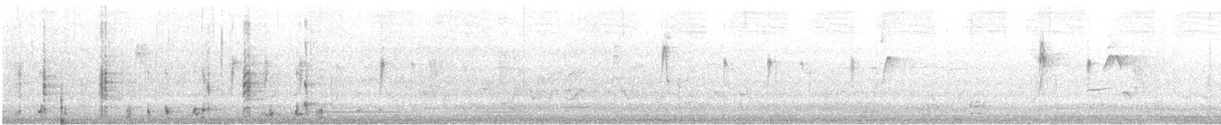 Western Wattlebird - ML645542761