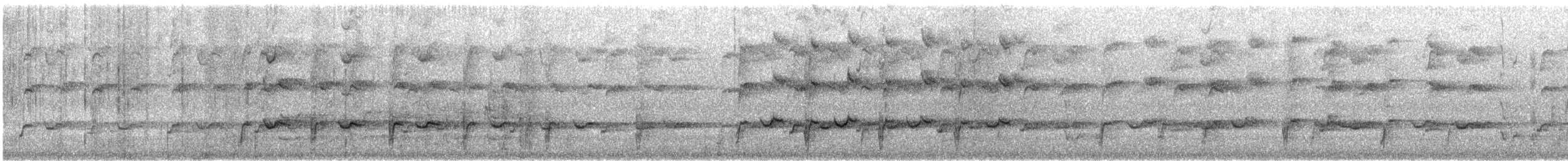 Australian Ringneck (Port Lincoln) - ML645542764