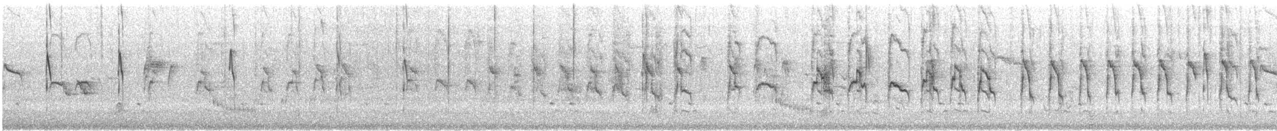 Varied Sittella (Black-capped) - ML645542774