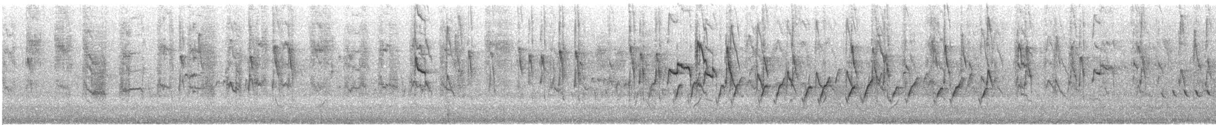 Varied Sittella (Black-capped) - ML645542775