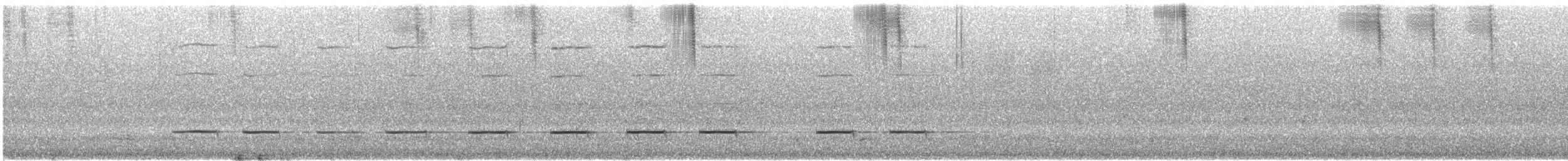 Little Grassbird - ML645542789