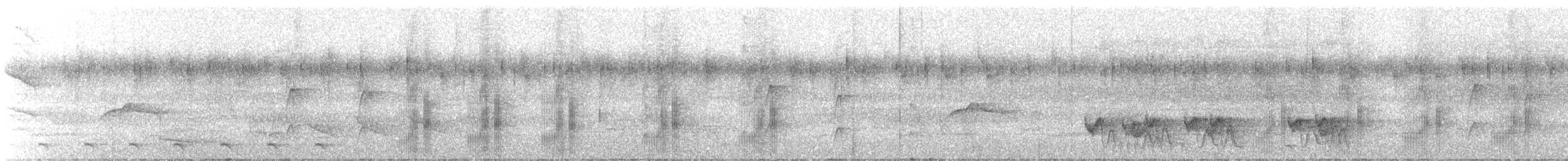 Black-tailed Tityra - ML645543152