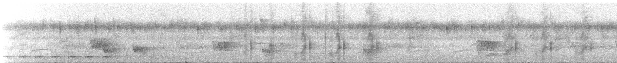 Black-tailed Tityra - ML645543153