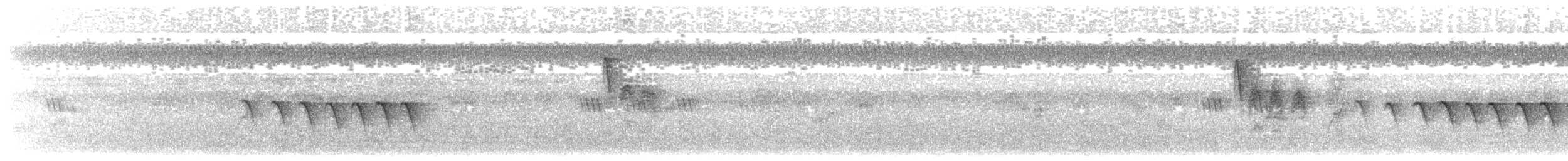 Cincia bigia - ML645543282