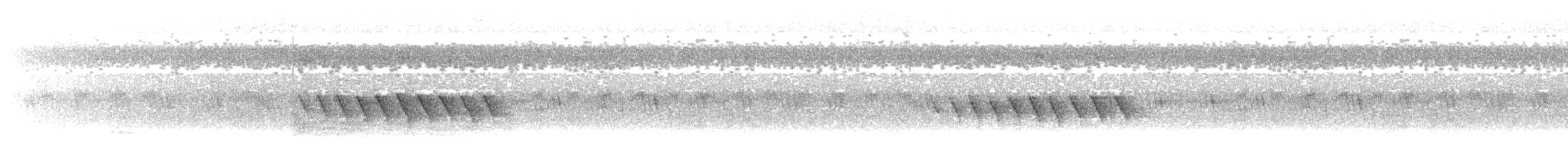 Cincia bigia - ML645543283