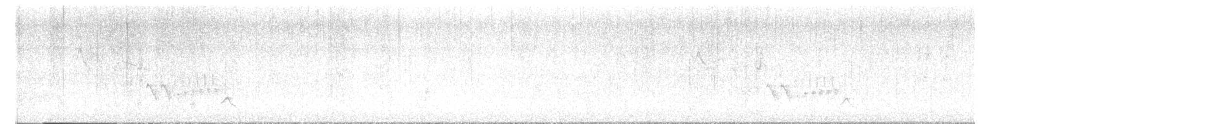 Southern House Wren - ML645543448