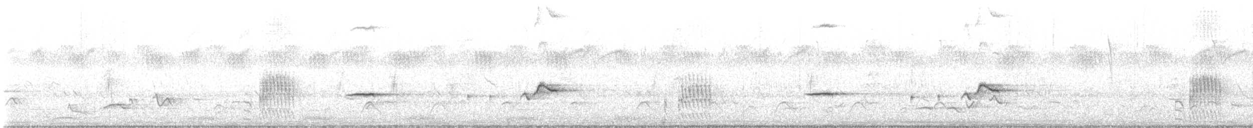 Cossyphe de Heuglin - ML645543754