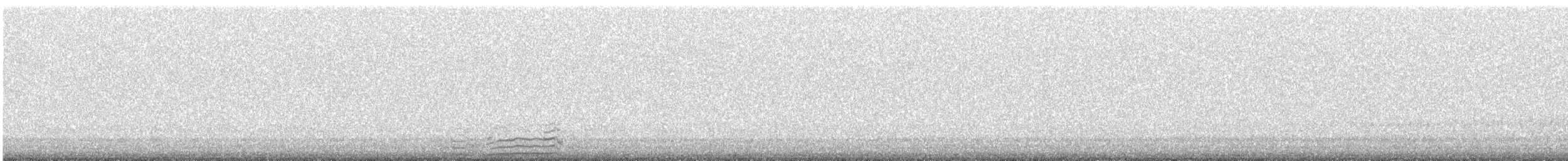 Moretta codona - ML645543780