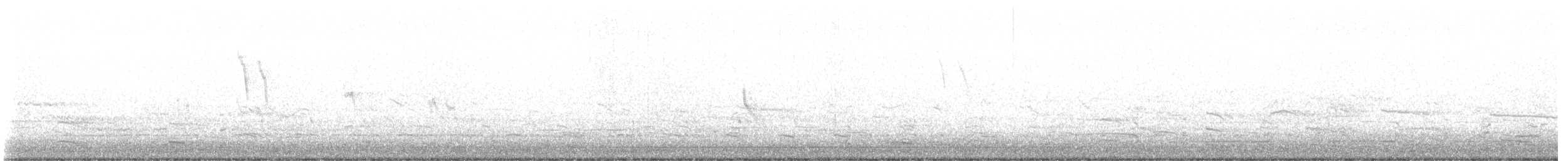 Spioncello del Pacifico - ML645543960