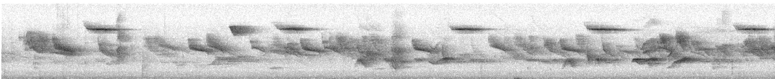 Passeriformes sp. - ML645543997